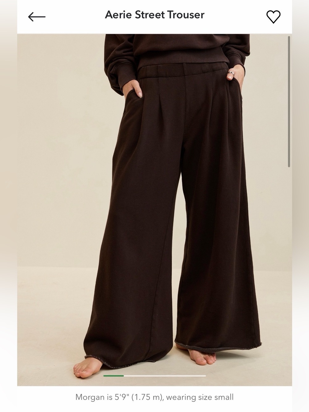 Aerie Street Trouser